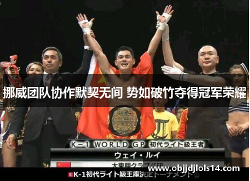 挪威团队协作默契无间 势如破竹夺得冠军荣耀