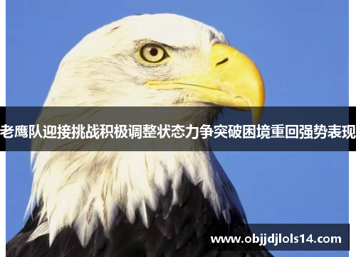 老鹰队迎接挑战积极调整状态力争突破困境重回强势表现