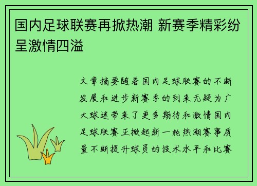 国内足球联赛再掀热潮 新赛季精彩纷呈激情四溢