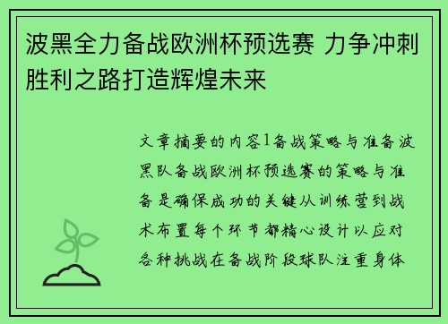 波黑全力备战欧洲杯预选赛 力争冲刺胜利之路打造辉煌未来